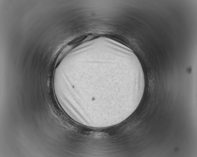 X0000115730539200912101454