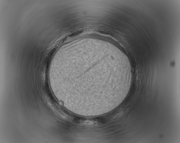 X0000115730542200912101454