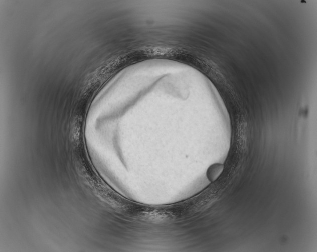 X0000115730545200912101454