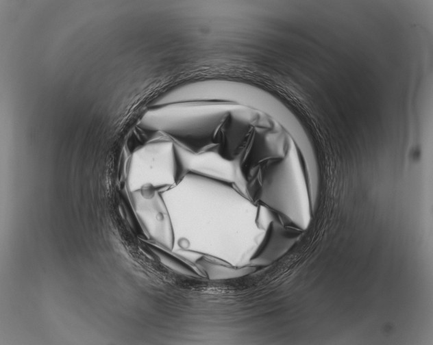 X0000115730546200912101454