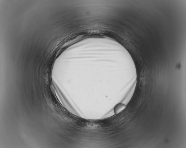 X0000115730547200912101454