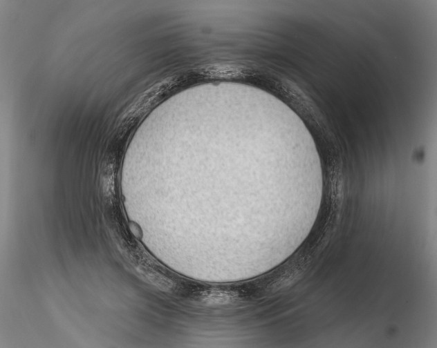 X0000115730549200912101454