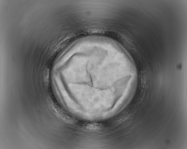 X0000115730550200912101454