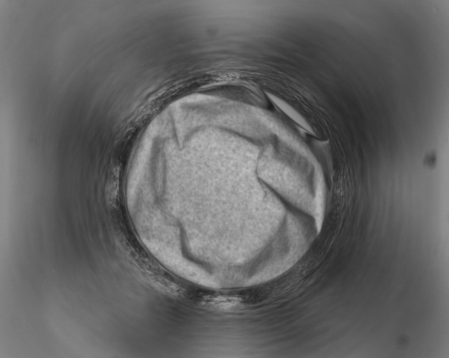 X0000115730554200912101454