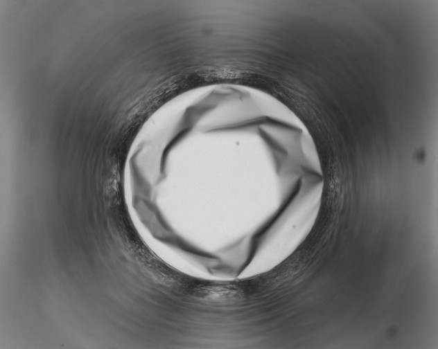 X0000115730555200912101454