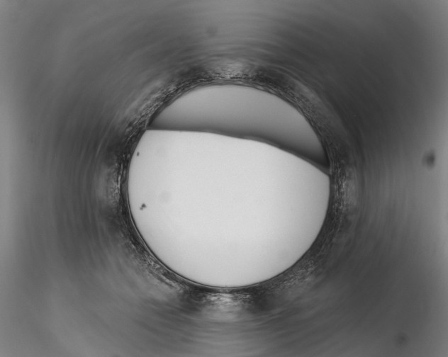 X0000115730558200912101454