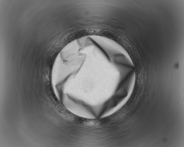 X0000115730561200912101454