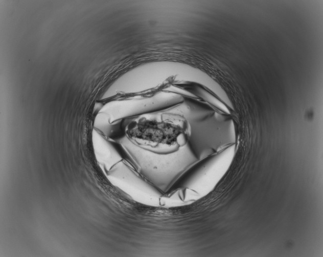 X0000115730562200912101454