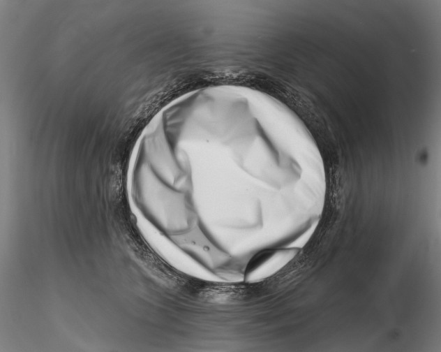 X0000115730563200912101454