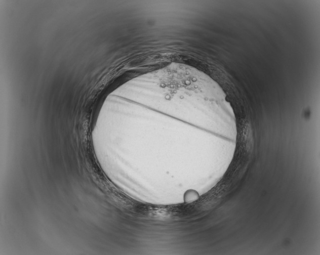 X0000115730565200912101454