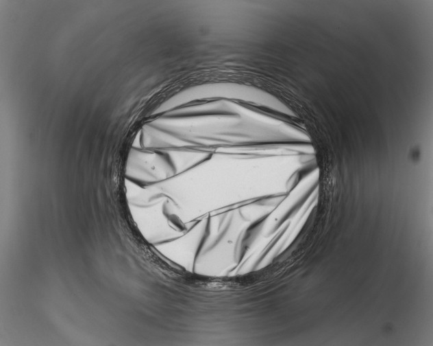 X0000115730566200912101454