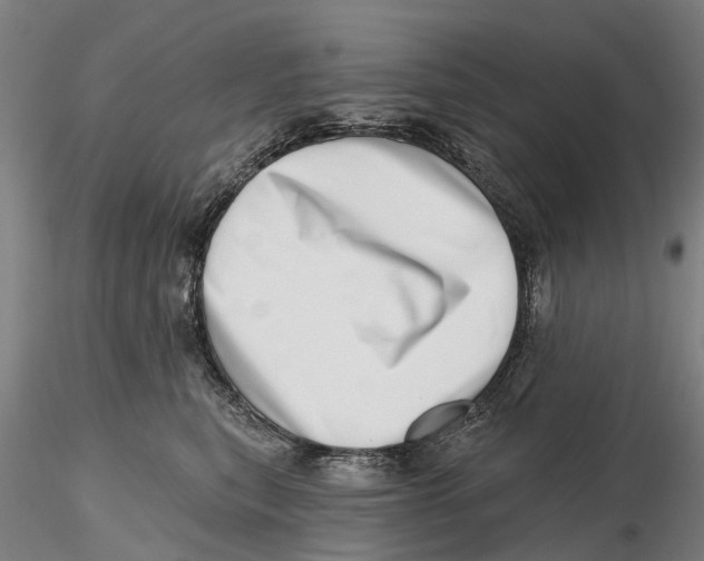 X0000115730567200912101454