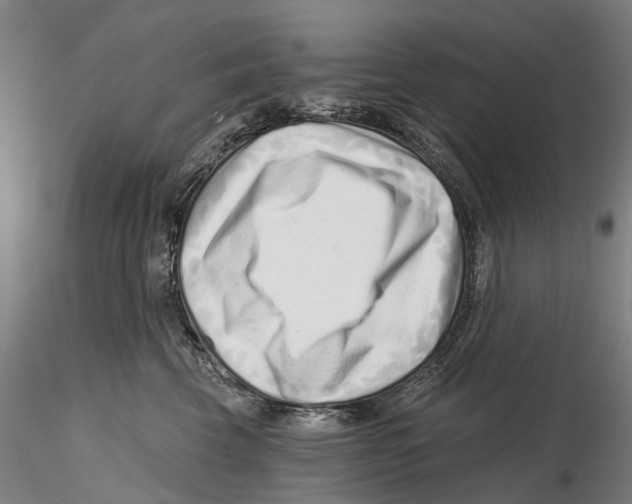X0000115730569200912101455