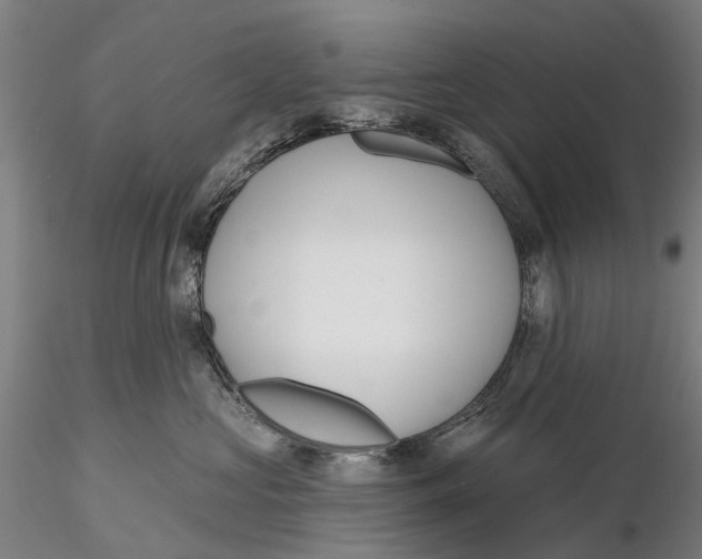 X0000115730573200912101455