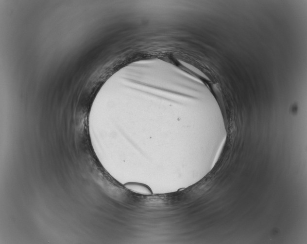 X0000115730574200912101455