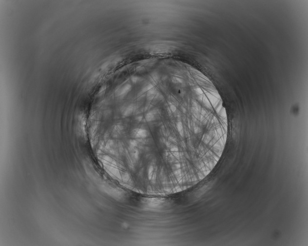 X0000115730575200912101455