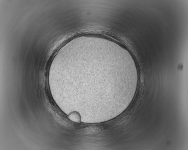 X0000115730578200912101454