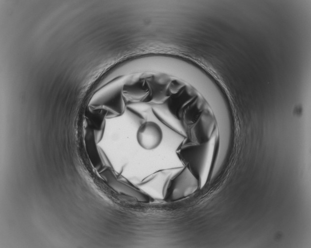 X0000115730581200912101454