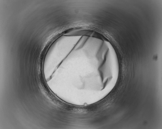 X0000115730582200912101454