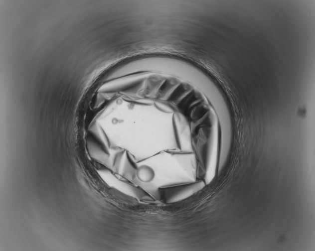 X0000115730583200912101454