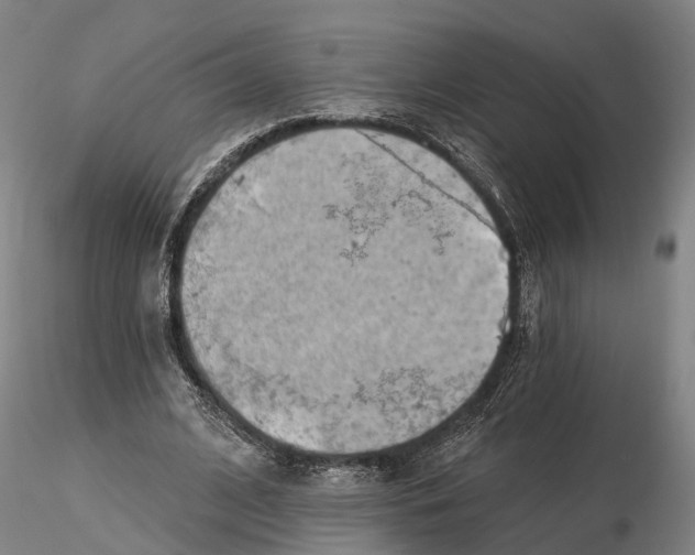 X0000115730584200912101454