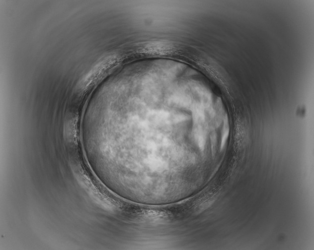 X0000115730585200912101454