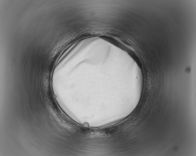 X0000115730586200912101454