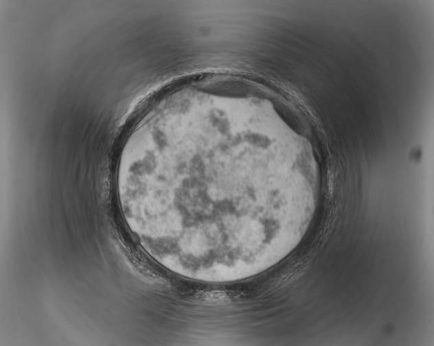 X0000115730588200912101454