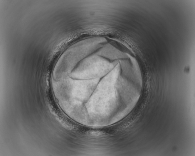 X0000115730590200912101454