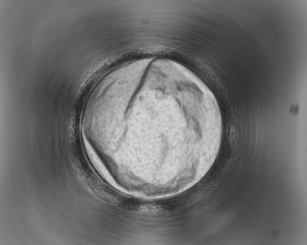X0000115730591200912101454