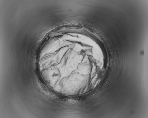 X0000115730592200912101454