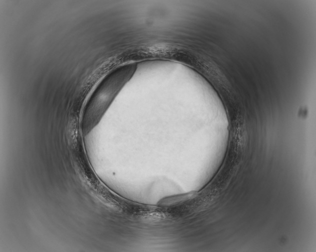X0000115730593200912101454