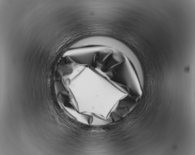 X0000115730595200912101454