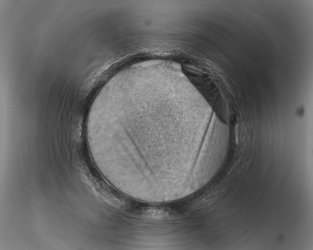 X0000115730596200912101454