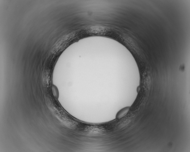 X0000115730597200912101454
