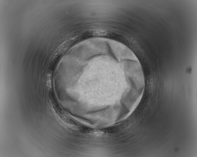 X0000115730598200912101454