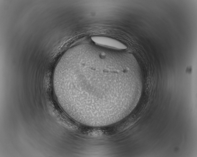 X0000115730600200912101454