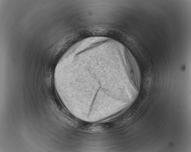 X0000115730604200912101454