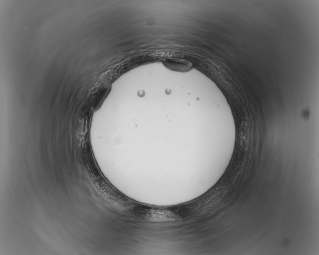X0000115730605200912101454