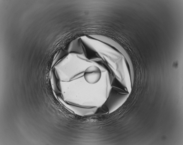 X0000115730609200912101453