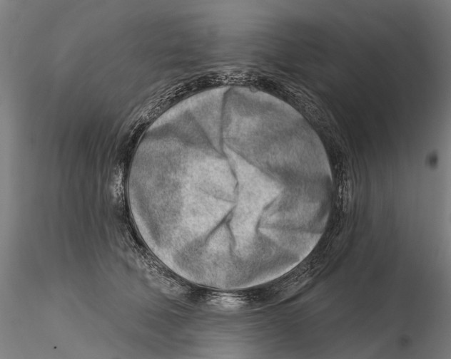 X0000115730610200912101453