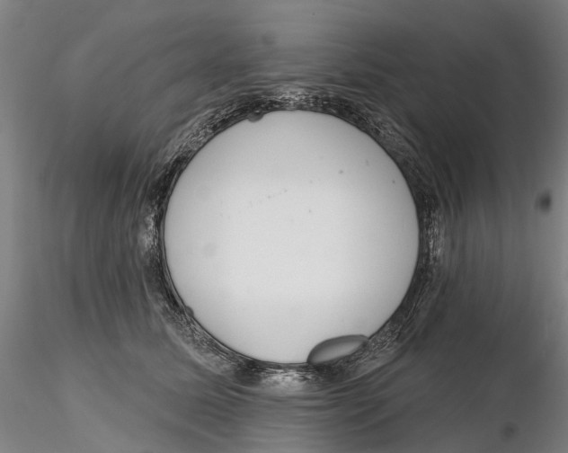 X0000115730611200912101453