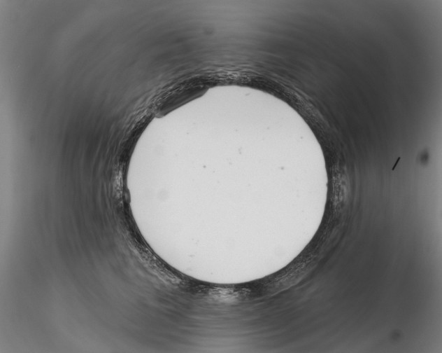 X0000115730613200912101453