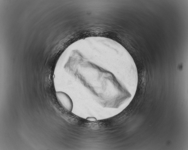 X0000115730615200912101453