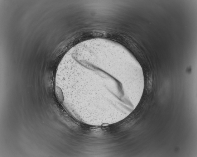 X0000115730616200912101453