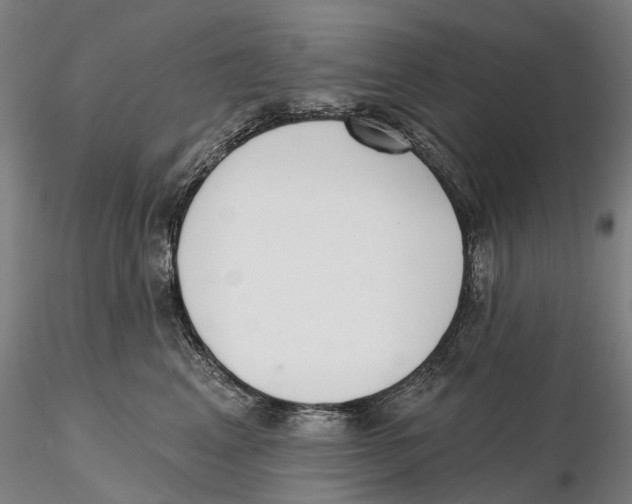X0000115730617200912101453