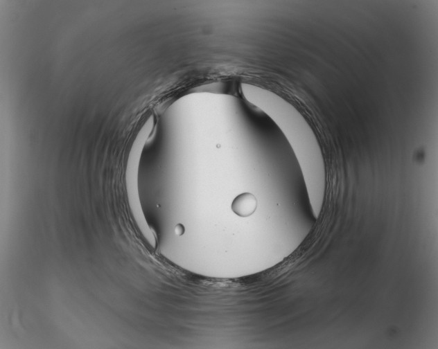 X0000115730621200912101453