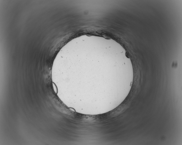 X0000115730624200912101453