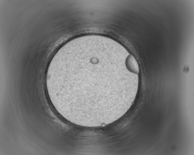 X0000115730625200912101453