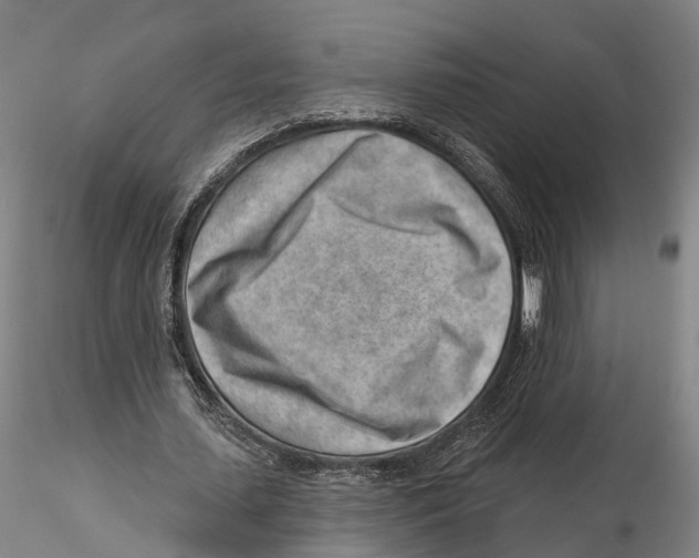 X0000115730627200912101453